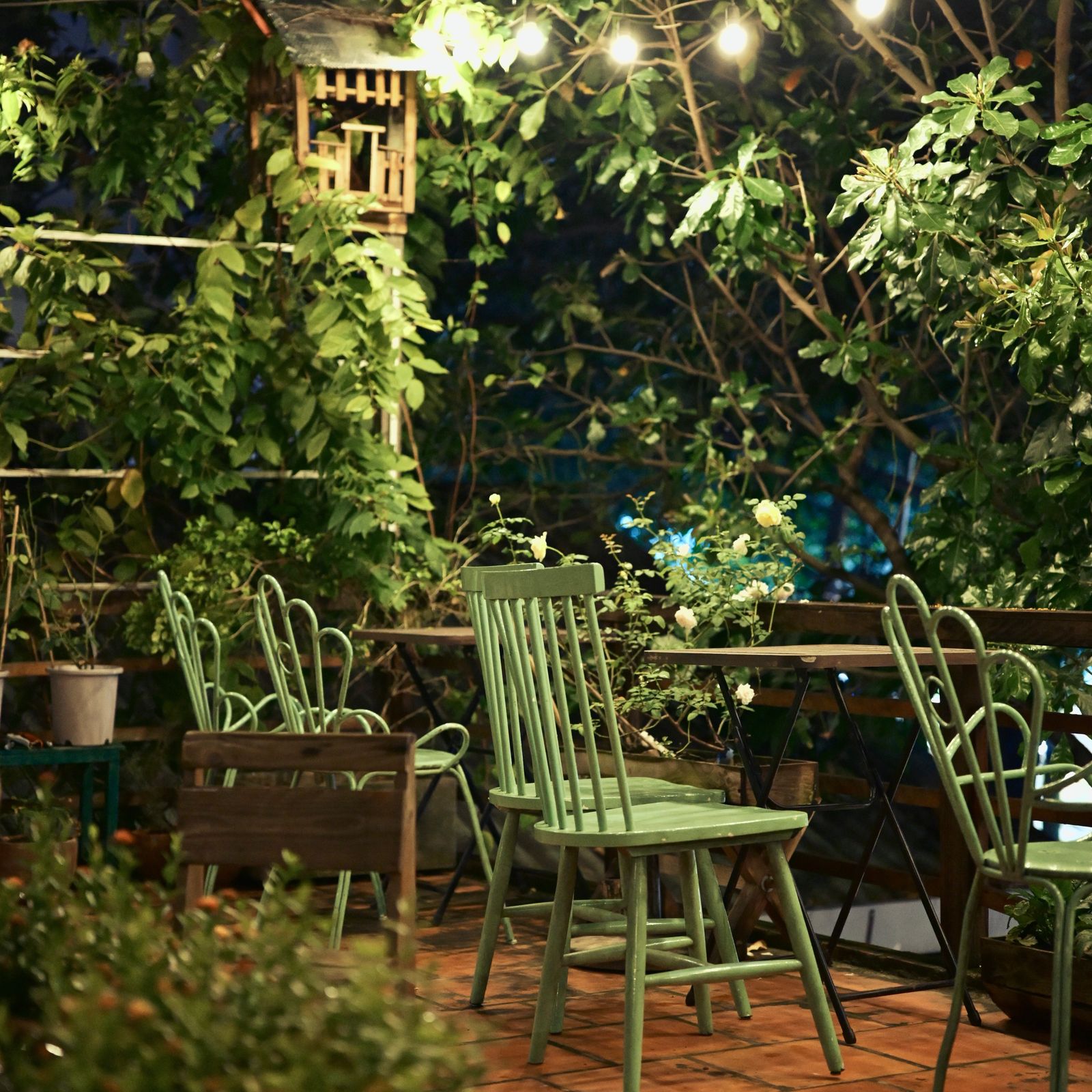 Sol y Sabor garden patio at dusk lit by string lights